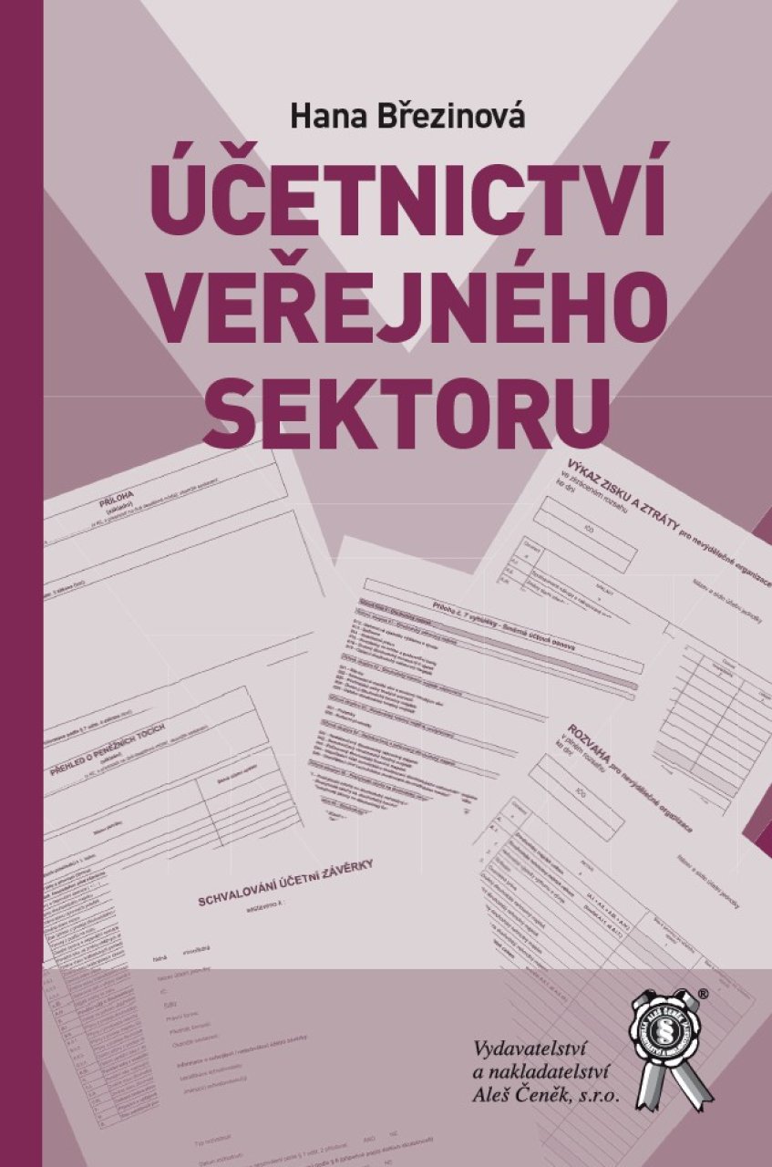 Účetnictví veřejného sektoru