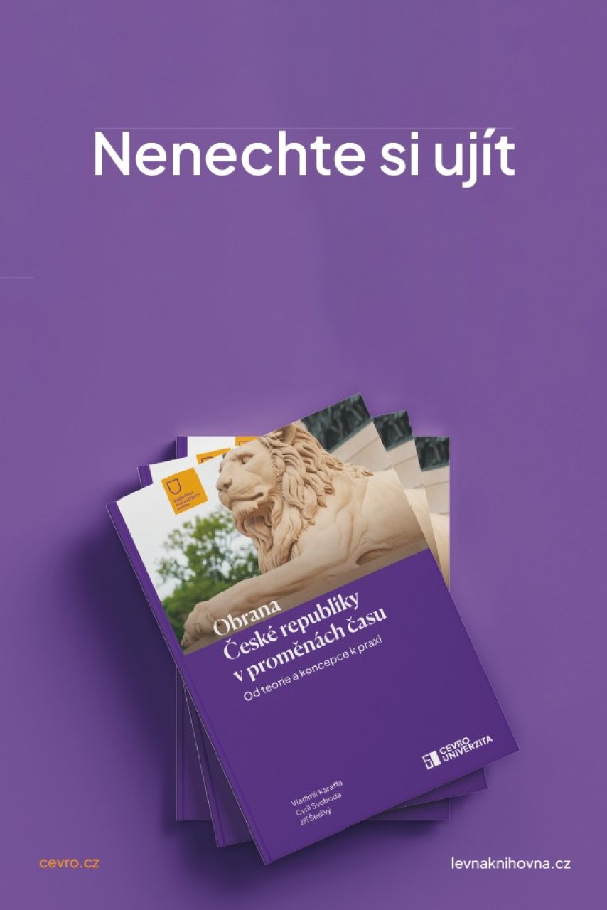Přístupy k tvorbě podkladů pro strategické řízení bezpečnosti