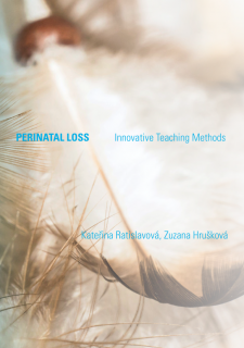 Perinatal Loss - Innovative Teaching Methods