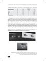 Laboratory and simulation experiments on rubber composites